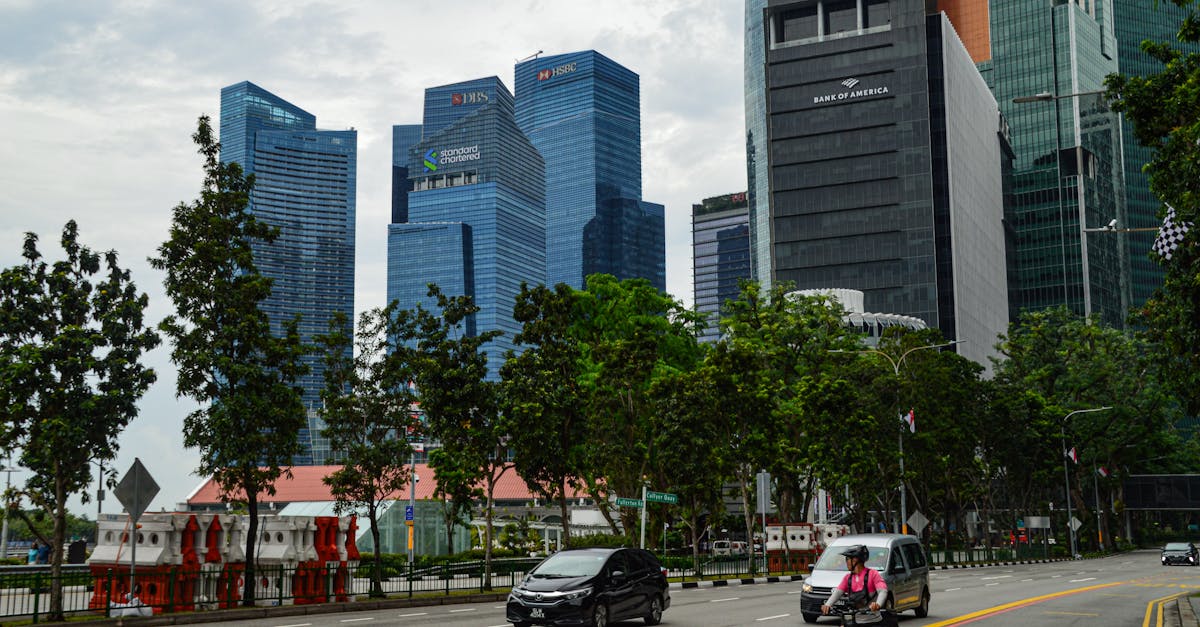 Impactdaily News contact